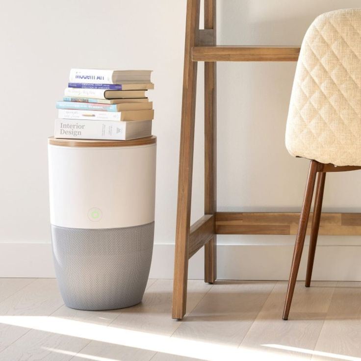 4 Air Purifier Hints For Your Home